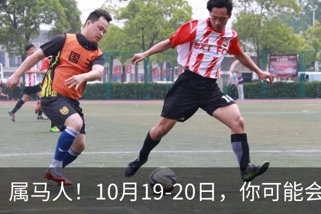 属马人!10月19-20日,你可能会哭一场,但实则是天大好事